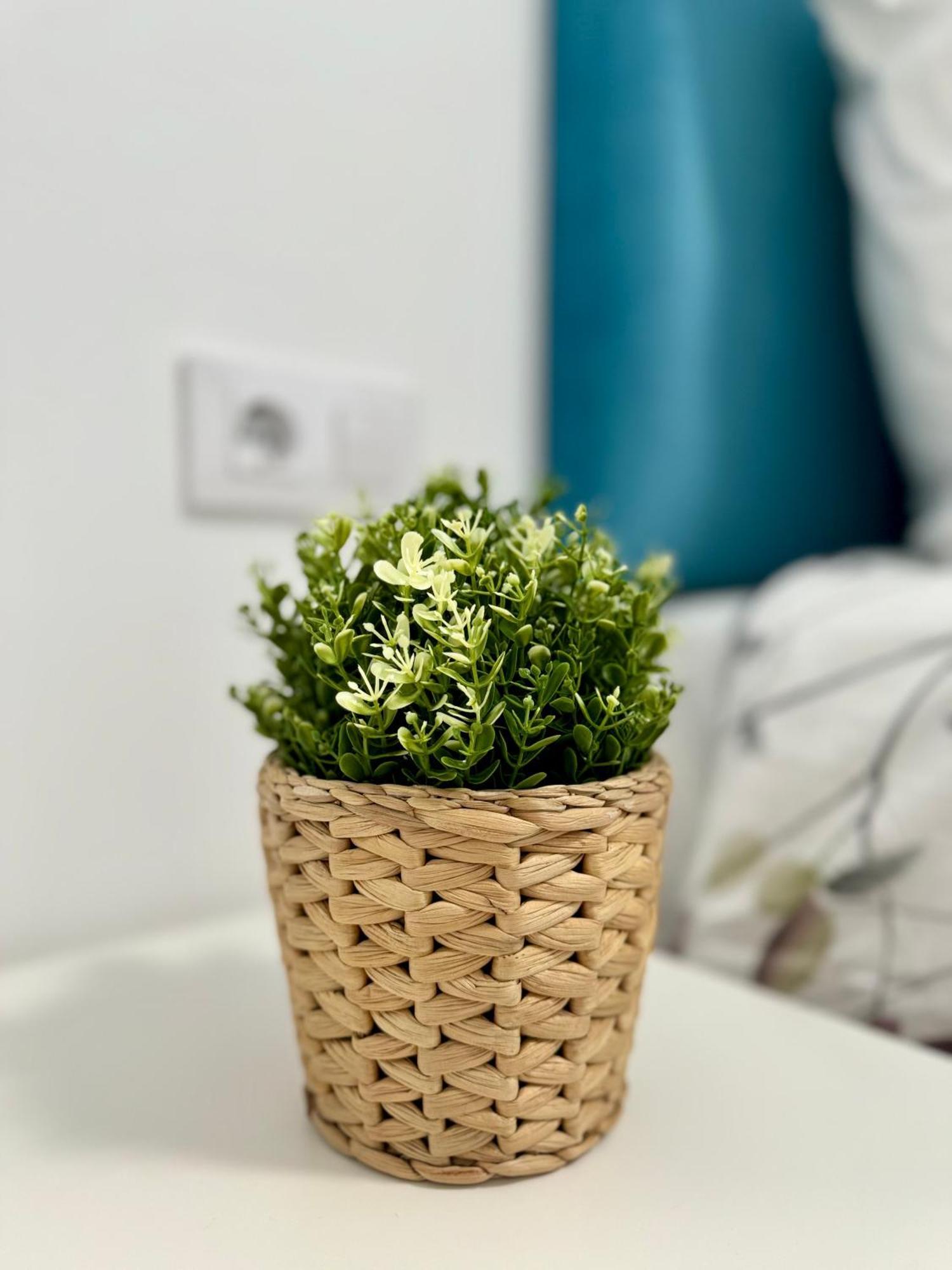 Apartamento Centrico Vigo Exterior foto